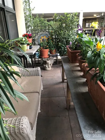 Good Light for Gardening