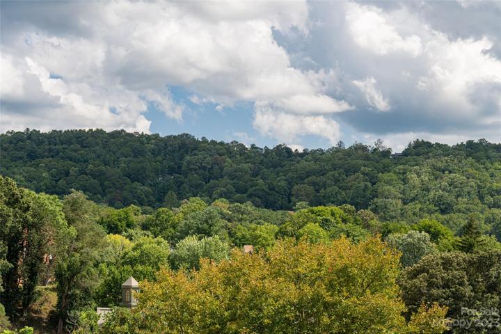 View from deck standing and the beautiful skies of Asheville " Land of the Sky"