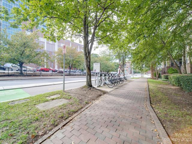Walking Path