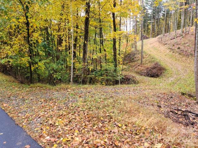 Access road at Thorncrest Drive