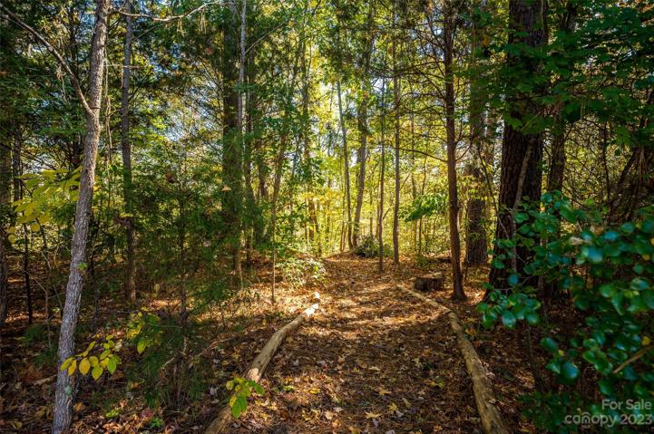 Pathway to Carolina Thread Trail