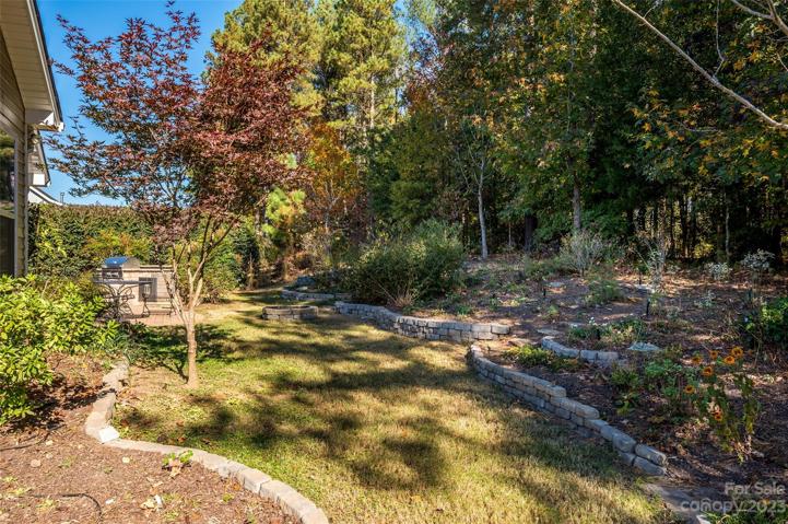 Rear yard