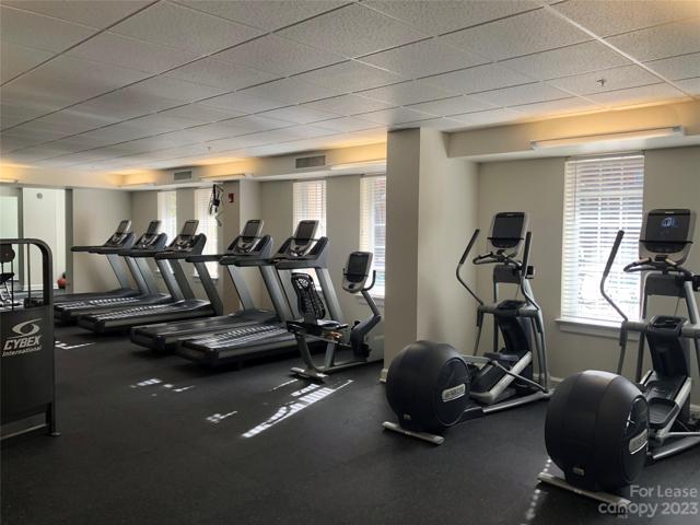 Plenty of Cardio equipment