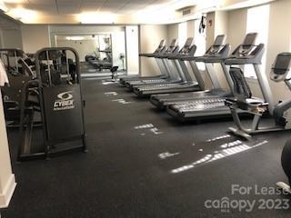 Newly Updated Fitness Center