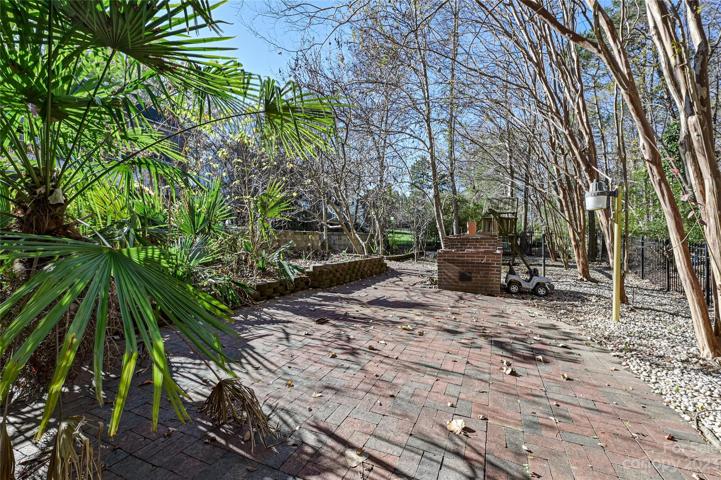 Rear yard and fireplace