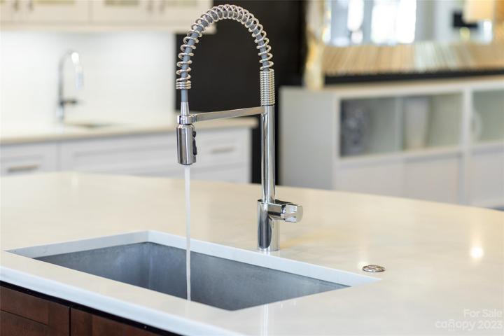 kitchen sink of your dreams