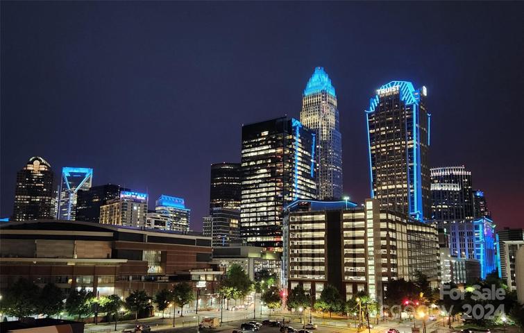 Panthers light up the city