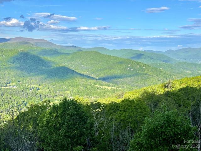 Summer View of Riceville Valley
