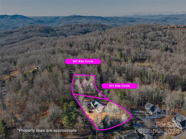 Option to purchase the lot beside the home - see other MLS