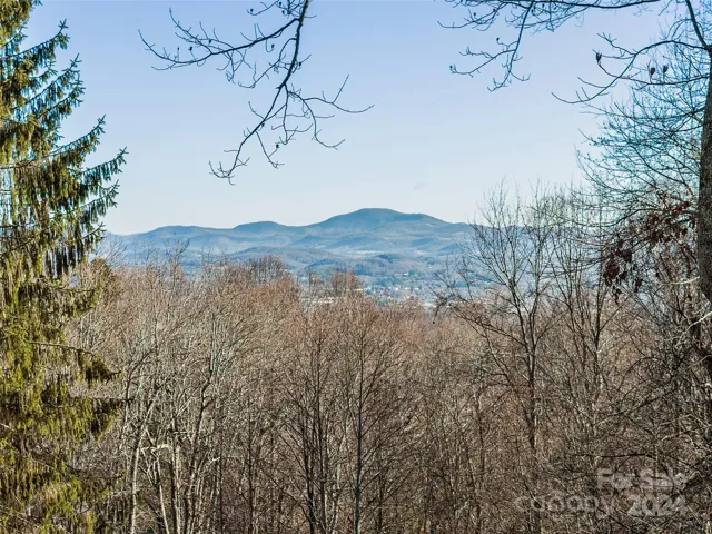 You see these beautiful mountains in the distance when viewing off the back deck - then at night it's amazing seeing the city lights reflecting off them!