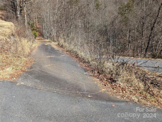 Driveway to upper lot 58