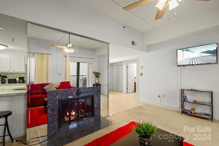 Fireplace inset - nice ambience