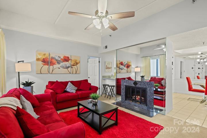 Fireplace inset - nice ambience