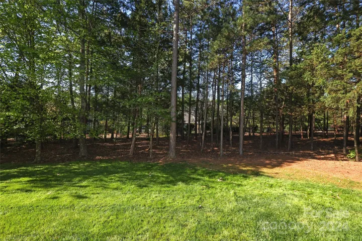 Backyard-.43 acre