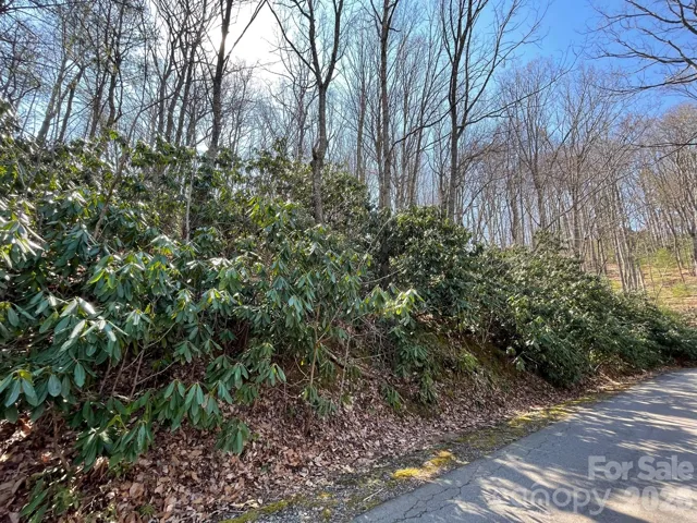 Lot view
