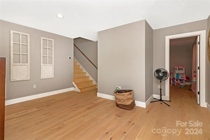 Lower Living Area/Flex Space