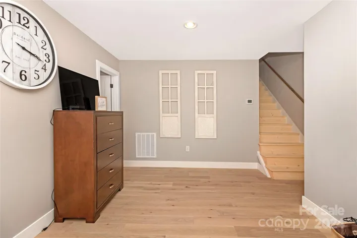 Lower Living Room