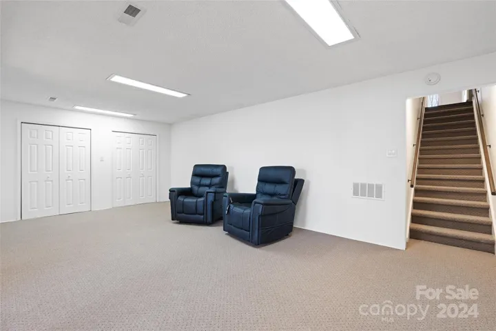 Lower Level Living