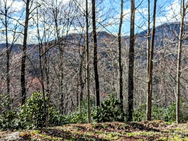 Winter views, and year round with some trimming