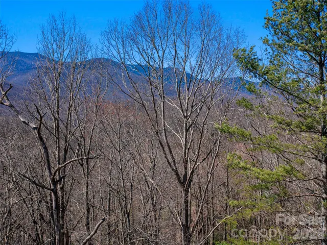 View of Black Mountains