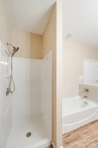 Primary bath walk-in shower