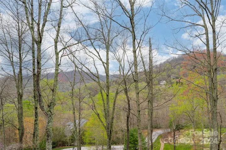 Beautiful Spring views!