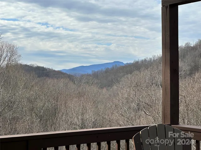 Grandfather View