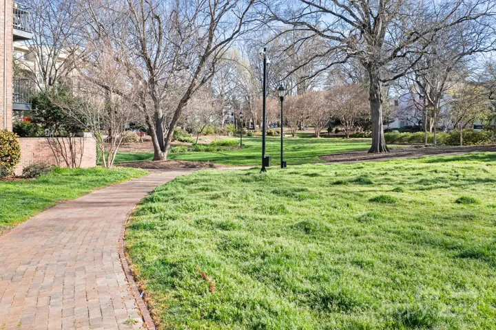 Fourth Ward Park is across the street with walking paths and plenty of friends for fido.