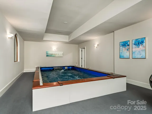 ENDLESS lap pool on lower level
