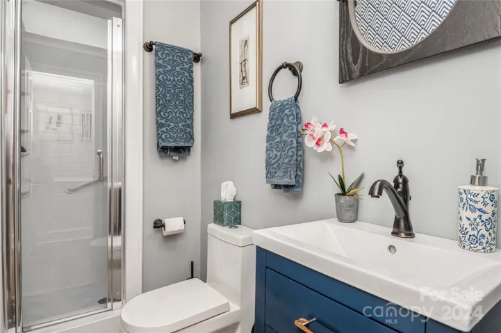 Basement Bathroom