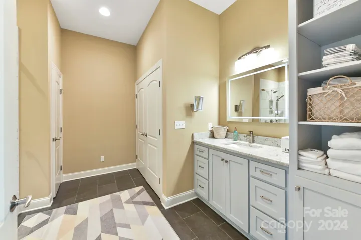 Lower Level Bathroom