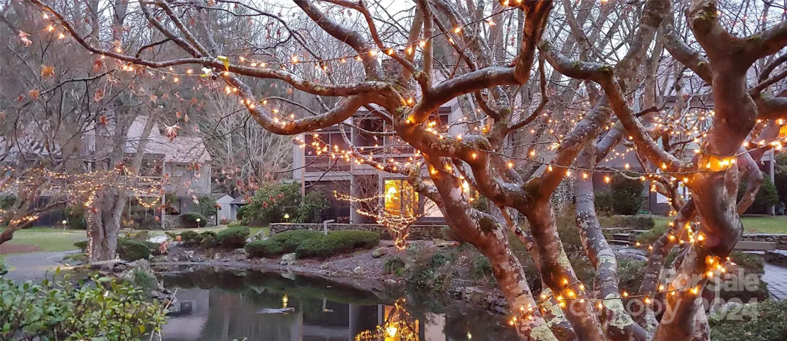 Winter Lights in Lakemoor Village