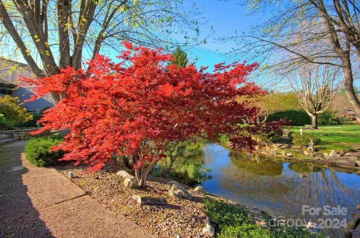 Such a beautiful place to live