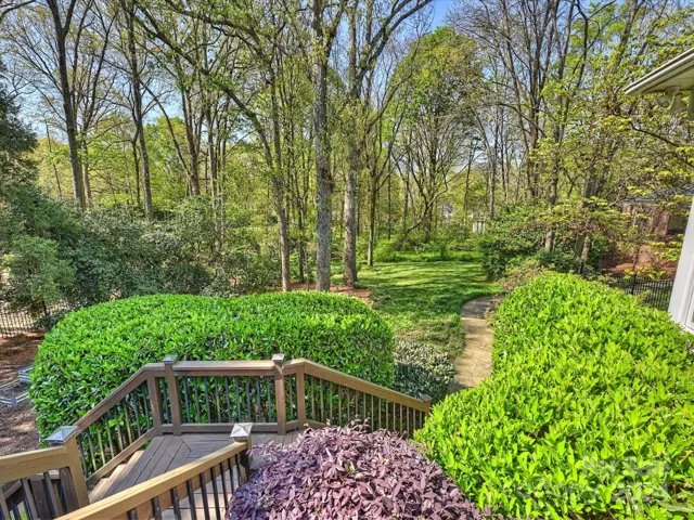 Deck View