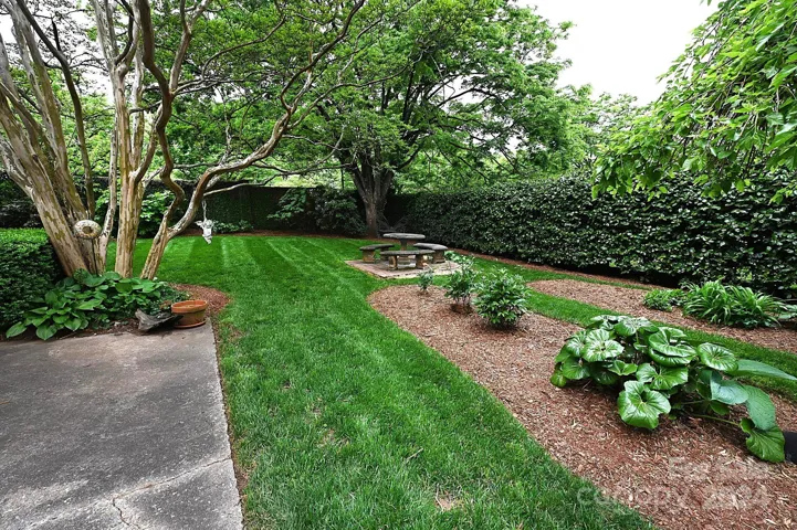 Backyard Oasis