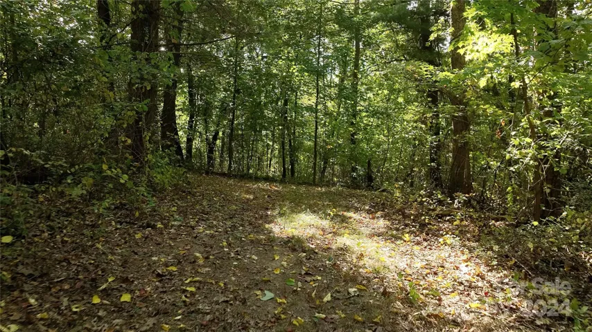 Miles of Trails on the 75+/- acres