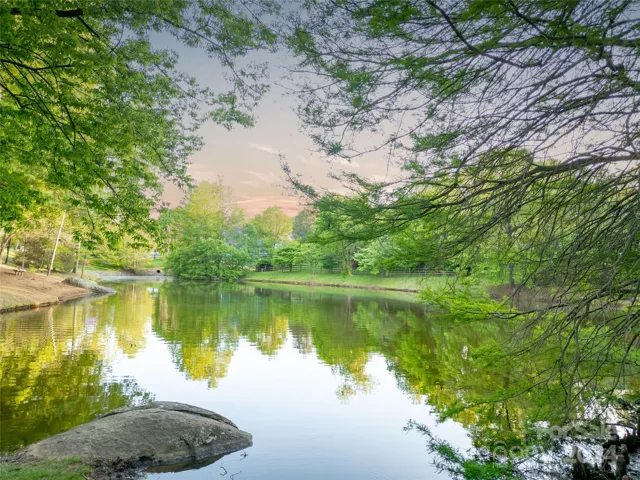 Backs to pond