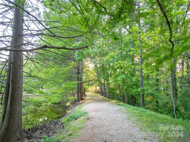Access trails behind house