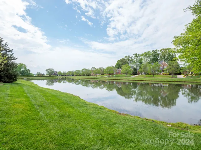 Neighborhood pond