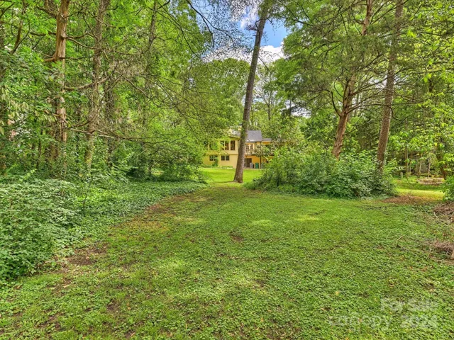 Rear Yard