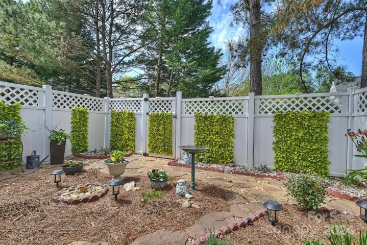 Back patio