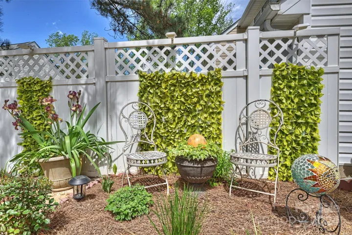 Fenced yard
