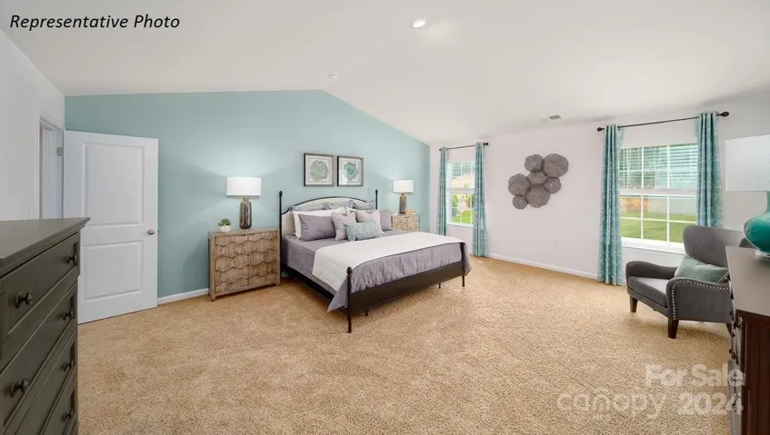 owners suite does NOT have vaulted ceiling
