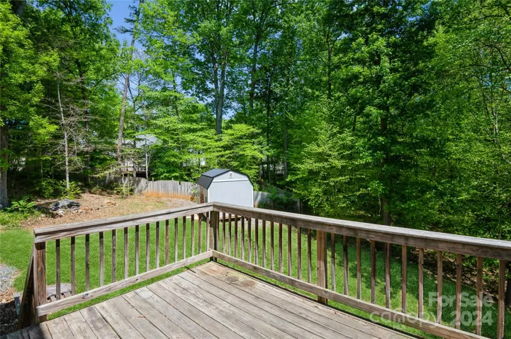 Another View of the Private Treed Lot