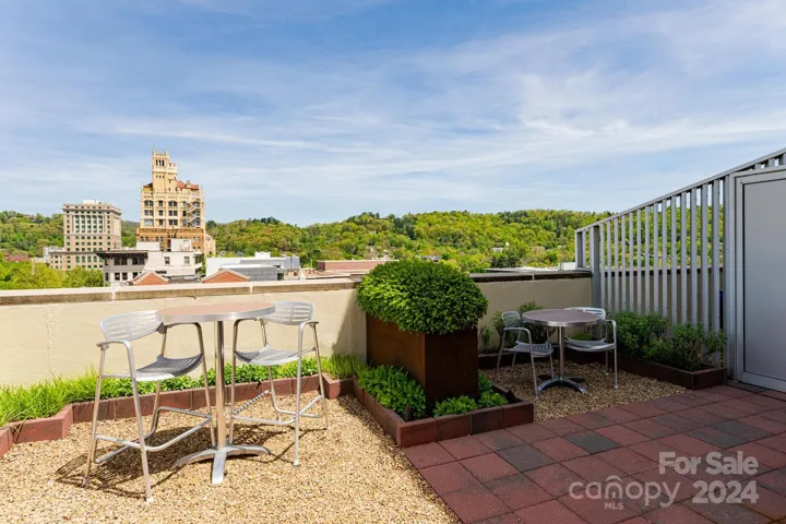 Community Roof Garden