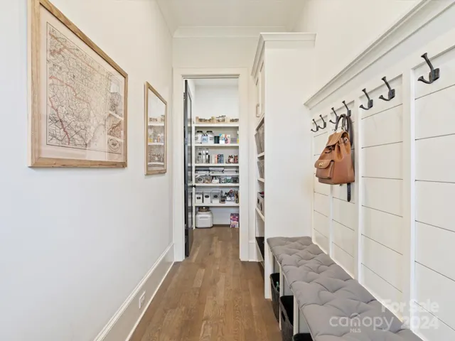 walk in pantry and drop area off the kitchen.