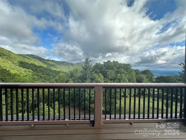 New 2024 Trex Decking!