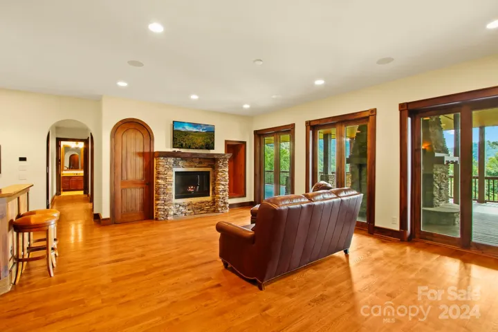 Lower level living room