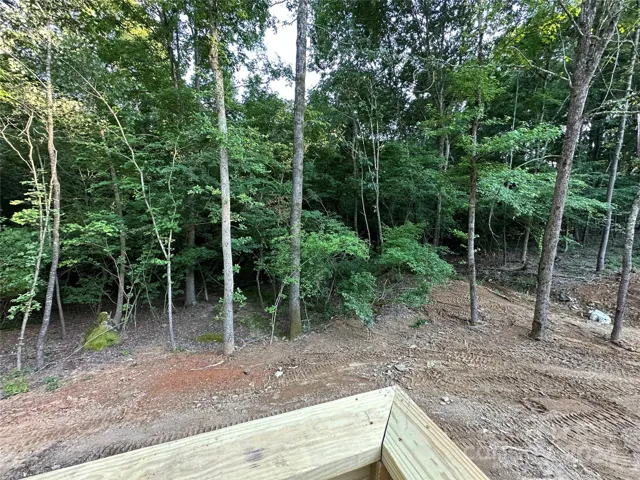 Right view of your back yard