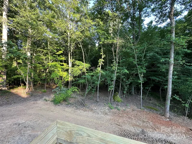 Left Side view of your Backyard